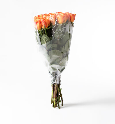 Roser oransje Roser oransje